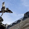 Piccadilly Circus in London, United Kingdom