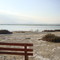 Larnaca Salt Lake, Larnaca