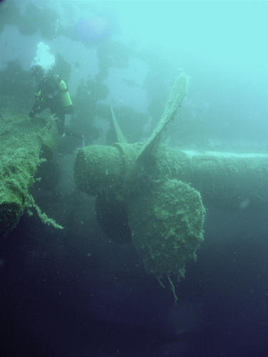 Wreck of the Zenobia, Larnaca