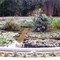 Botanical Garden of Palermo, Palermo