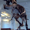 Manchester Museum, Manchester Manchester Museum, Manchester