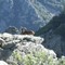 Haut-Languedoc Regional Natural Park