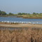 Gascogne Regional Natural Park