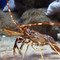 Barcelona Aquarium, Barcelona Barcelona Aquarium, Barcelona