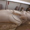 Memfes Ramses II colossal statue top in Memphis 2010 Memphis and its Necropolis in Cairo, Egypt