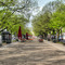 Unter den Linden Boulevard, Berlin Unter den Linden Boulevard, Berlin